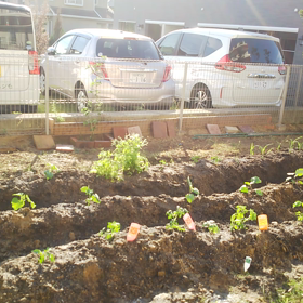 畑始動③の画像