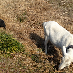 群馬県あるあるの画像