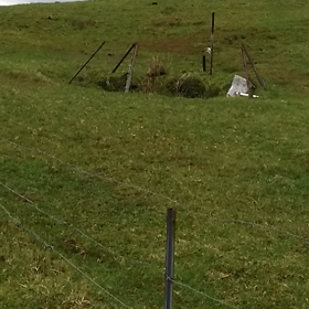 四国カルストにて発見の画像