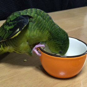 ✿ ひとりでたべれるよ ✿の画像