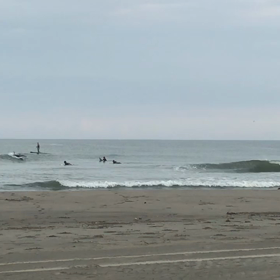 今朝の波乗り動画   その2  ロンガーの画像