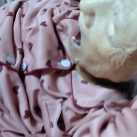 アイちゃん徹夜の画像