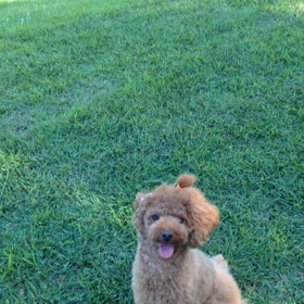 動画(⺣◡⺣)♡*の画像