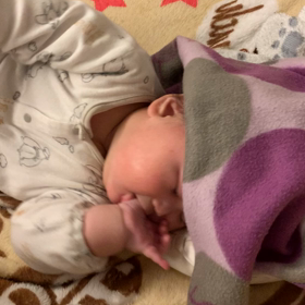 お腹にブランケットの画像