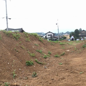 パンプトラックの画像