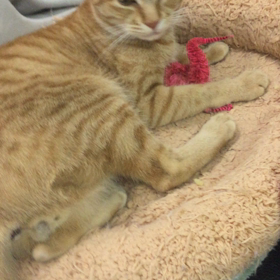 穏やかな時間の画像