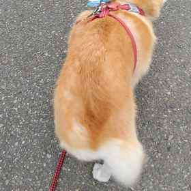 今日の１秒の画像