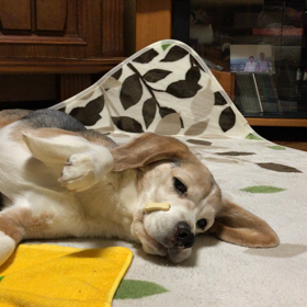 やっぱり♪の画像