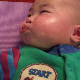 ブーブー。最近のはやり。の画像