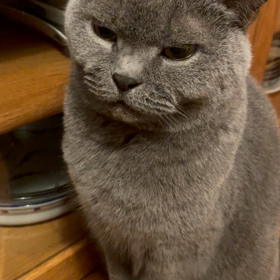 ”◆ザワザワさせる女の画像