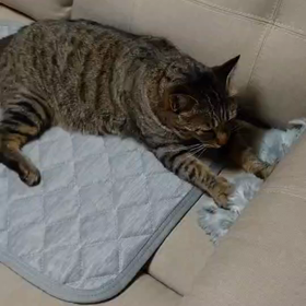 不二子ちゃんのふみふみの画像