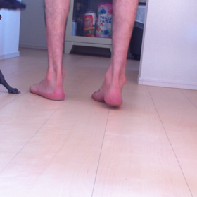 はじめてのお散歩練習 室内編②の画像