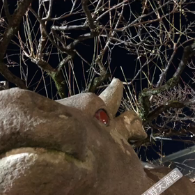 2021 年始まりました♡の画像