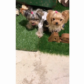 モデルしゃんの画像