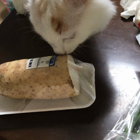 長芋とシロちゃんの画像