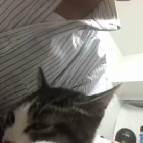 紅葉くん正式時間の画像