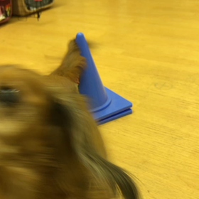 ポールを回る、チェリーさん。の画像