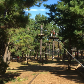 SALUTOBI動画2の画像