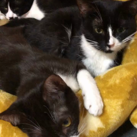 優ちゃん落ち着いてますの画像