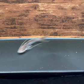 今日から貯めていた動画を！！の画像