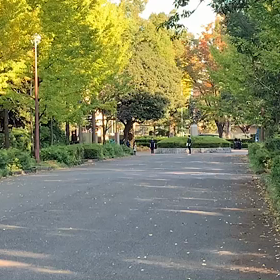 記録会 女子Dグループ③の画像