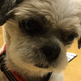 今日のオマケコーナー。の画像