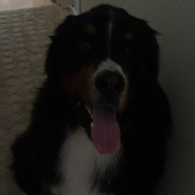 いよいよ…今夜˚⁎⁺˳✧༚˚✧₊⁎の画像