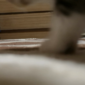 #元気⤴️の画像