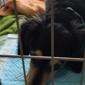 多発３日目の画像