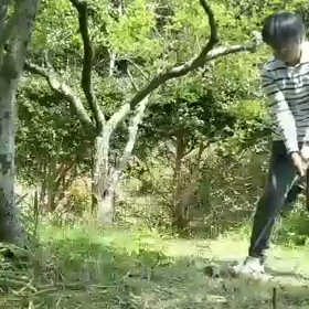 ダウンヒルの画像