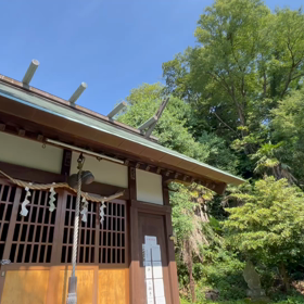 ウグイスの画像