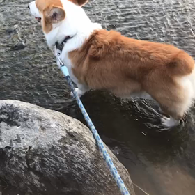 今日の目標達成の画像