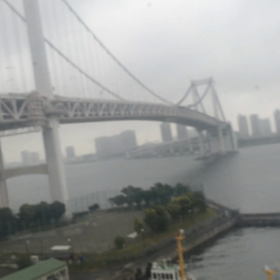 ゆりかもめの画像