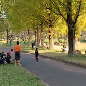 11/3　ミニ駅伝①の画像