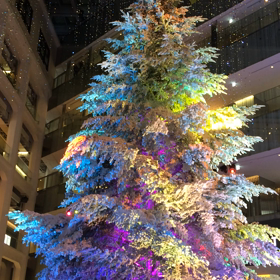 ☆KITTEのホワイトクリスマス☆の画像