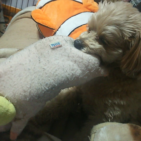 まだまだの画像