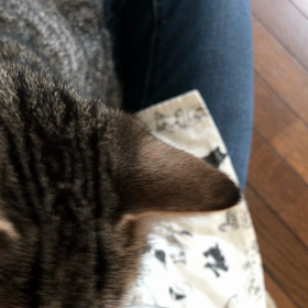 今週末トライアルの二人の画像