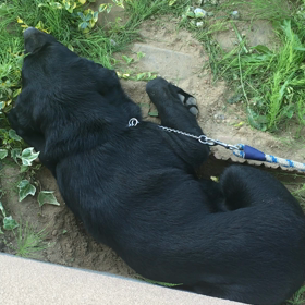 暑かったねの画像