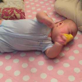 どうしても、バナナを食べたい。の画像