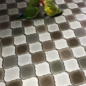 夫婦のラブラブ な時間の画像