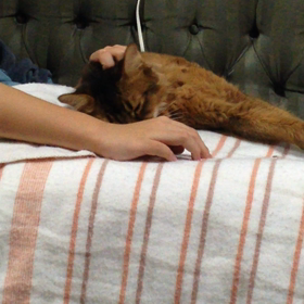 紅白歌合戦マッサージの画像