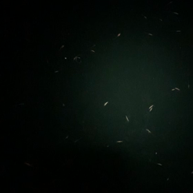 5月9日（土）　仙台湾の画像