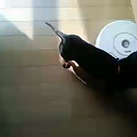 恐い((( ；ﾟДﾟ)))の画像