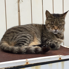 8月の予定だよ～の画像