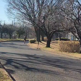 12/29 1500m③の画像