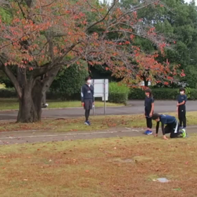 11月5日 ダッシュの場①の画像