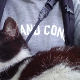 白黒ちゃん動画の画像