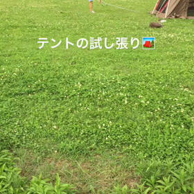 テントを新調の画像