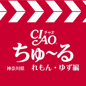 ちゅ〜るメーカーの画像