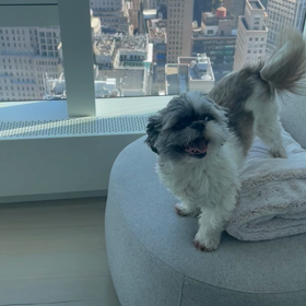 しもべえ　全話の画像